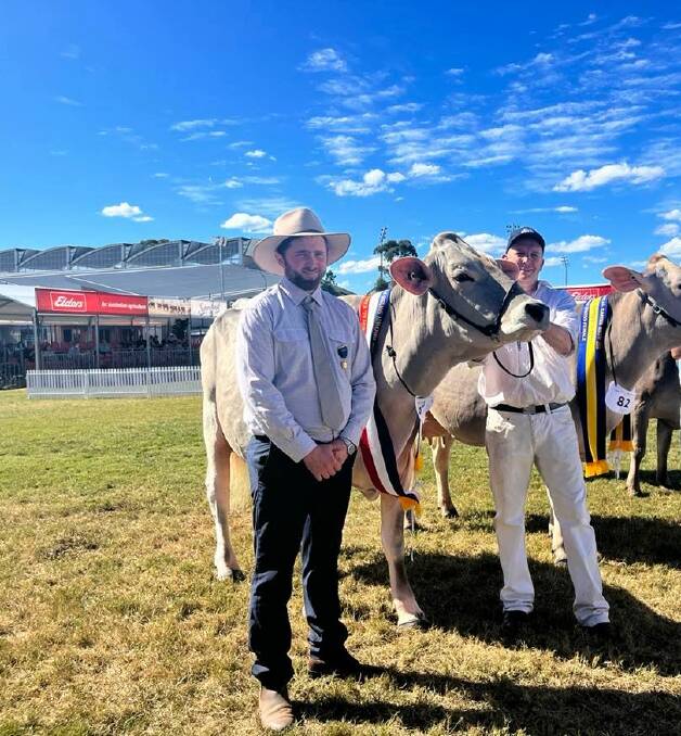 Judge Henry Bevan, Ravenshoe, QLD, with Craig Cochrane, Parrabel Genetics, and senior champion female and winner of best senior udder, Tandara Vivid Lunda 260. Judge Henry Bevan, Ravenshoe, QLD, with Craig Cochrane, Parrabel Genetics, and senior champion female and winner of best senior udder, Tandara Vivid Lunda 260.
