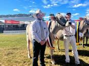 Judge Henry Bevan, Ravenshoe, QLD, with Craig Cochrane, Parrabel Genetics, and senior champion female and winner of best senior udder, Tandara Vivid Lunda 260.