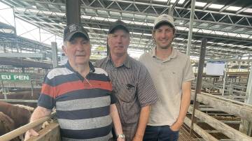 Kevin Chandler with son-in-law Paul Malseed and grandson Rhys Malseed, Orana Partnership, Breakaway Creek, south-west of Hamilton, at Wednesday's Hereford / Euro breeds weaner sale. The Orana Partnership enjoyed strong sales on the day.