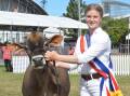 The champion dairy cattle parader Anna Dickson of Ferrum Illawarras and Spring Bank Jerseys and Holstein, Terang, Vic. 