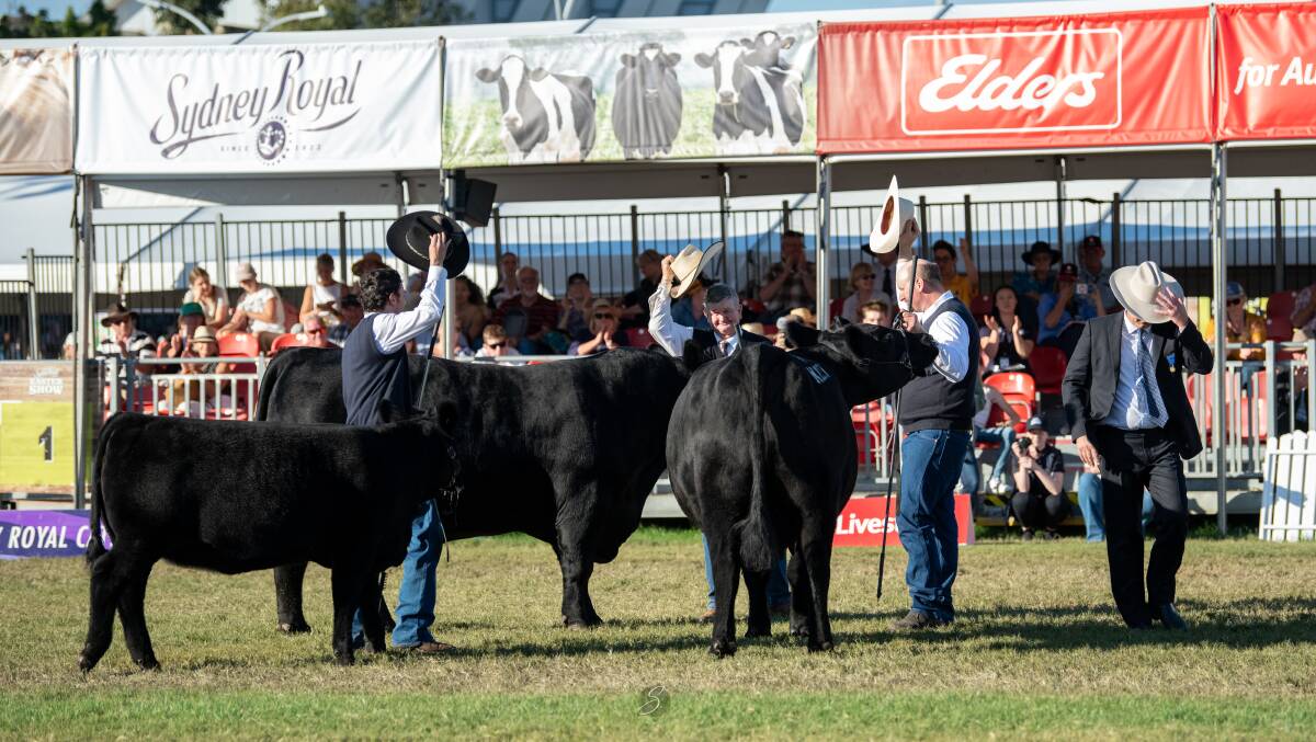 Hats off to the Angus breed who celebrated back-to-back Hordern Perpetual Trophy wins. Photos: Branded Ag Hats off to the Angus breed who celebrated back-to-back Hordern Perpetual Trophy wins. Photos: Branded Ag