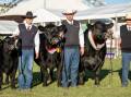 HORDERN WINNERS: KO Jedda K127 led by Angus Onisforou and Tim Lord, KO Angus, Kangaloon, and PC Royal Roll R017 led by Greg Fuller, Pine Creek Angus, Cowra.