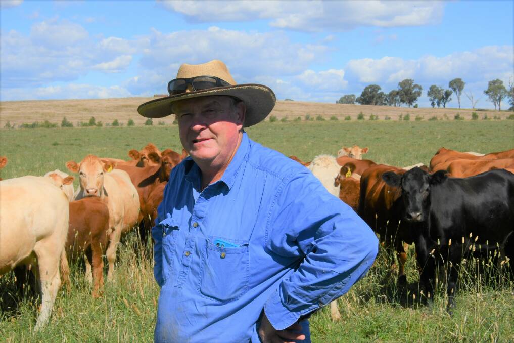 Russell Menzies and his family run a self-replacing herd of 150 composite breeders and they trade around 1200 head of cattle annually at their Wirra property at Mangoplah. Photo: Brett Tindal Russell Menzies and his family run a self-replacing herd of 150 composite breeders and they trade around 1200 head of cattle annually at their Wirra property at Mangoplah. Photo: Brett Tindal