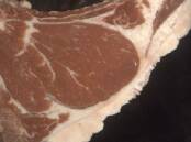 The 93 point-scoring Angus carcase, with a marble score of three, from Bowmont Angus, Tatyoon, Vic. 