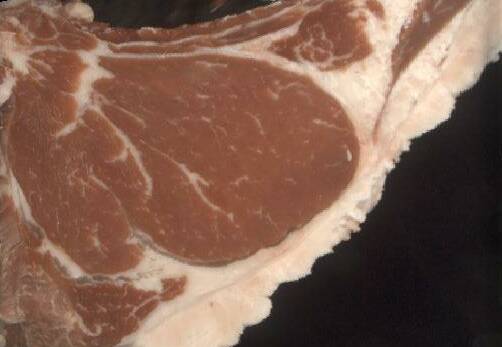 The 93 point-scoring Angus carcase, with a marble score of three, from Bowmont Angus, Tatyoon, Vic. The 93 point-scoring Angus carcase, with a marble score of three, from Bowmont Angus, Tatyoon, Vic.
