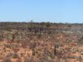 Major focus on drought resistance