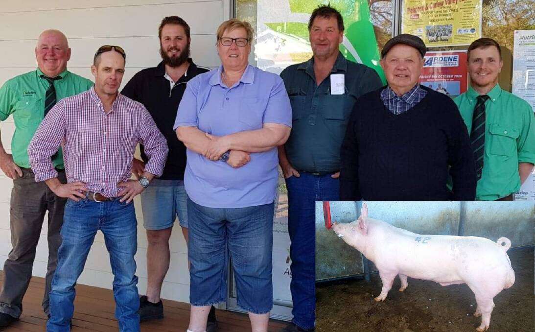 David Schultz, Greg Davis, Shaun Blenkiron, Cheryl Wandel, Michael Blenkiron, Jim Davis and Ash Fawcett gathered to watch the online auction. (Inset) Gumshire King J348, sold by Shaun Blenkiron, Keyneton made $2200.