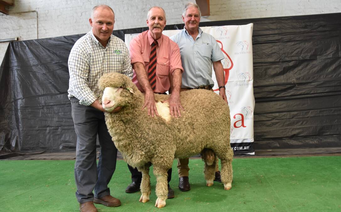 NSW BOUND: Glenlea Park's Peter Wallis, Elders' Tom Penna and classer Andrew Calvert with the $46,000 ram. NSW BOUND: Glenlea Park's Peter Wallis, Elders' Tom Penna and classer Andrew Calvert with the $46,000 ram.