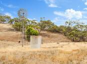 ENTRY LEVEL: Moseys at Truro sold for what seems a bargain $1788 per hectare or $723 per acre at auction. Pictures: Elders Rural Real Estate.