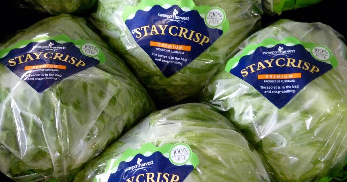 Lettuce kings say it's time to toss in the salad business Lettuce kings say it's time to toss in the salad business