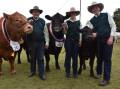 Entries for the beef cattle and led steer section of the Royal Adelaide Show are closing soon, on Friday, June 18.