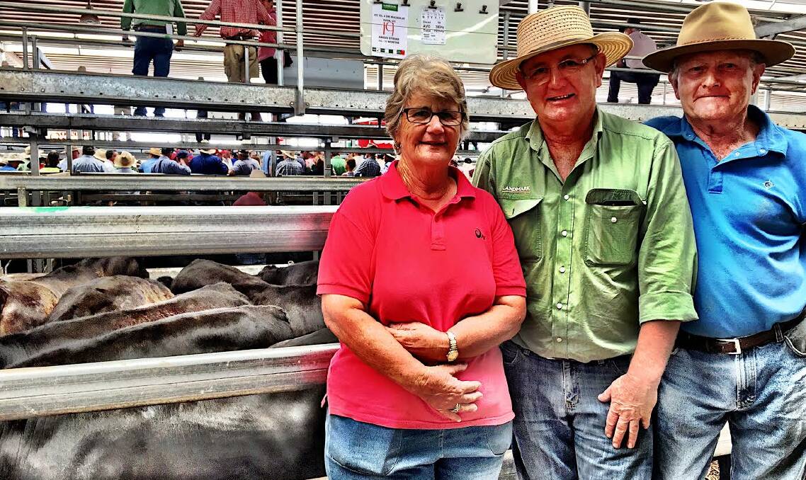 Dawn Macaulay, Landmark agent Pat Kindellan, and Graeme Macaulay with one of their pens of steers at the first day of the NVLX January sales. The Macaulays sold 105 head and were delighted with the prices. Dawn Macaulay, Landmark agent Pat Kindellan, and Graeme Macaulay with one of their pens of steers at the first day of the NVLX January sales. The Macaulays sold 105 head and were delighted with the prices.