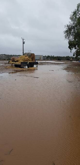 DOWNPOUR: Dublin, to the north of Adelaide, recorded 46mm over the weekend. Photo: Angie Caitlin.