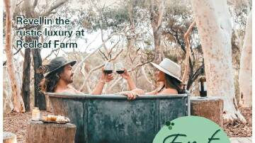 Southern Highlands Magazine - Winter 2022