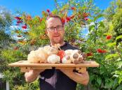 HOLY SHIITAKE: Urban farmer Tim Murch chats about growing West Tamar Fungi from a modest hobby to a full time occupation in just four short years. PHOTO: Supplied