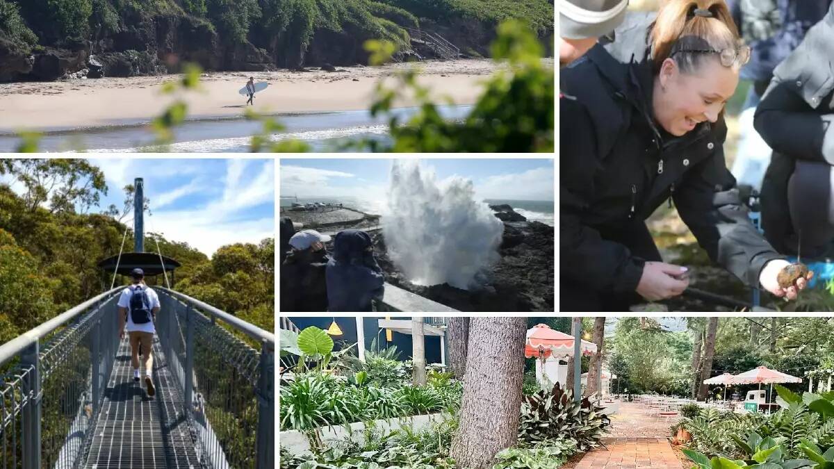 Day trips you can take from the NSW South Coast to the state's 'top tourism' towns