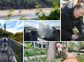Day trips you can take from the NSW South Coast to the state's 'top tourism' towns