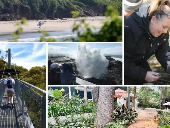 Day trips you can take from the NSW South Coast to the state's 'top tourism' towns