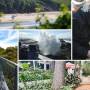 Day trips you can take from the NSW South Coast to the state's 'top tourism' towns