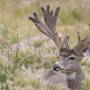 Where wild creatures outnumber humans, and nature comes remarkably close