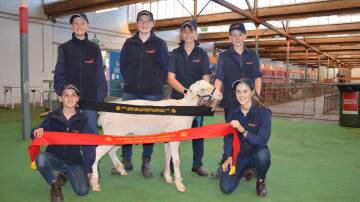 UNITED APPROACH: The Unity College team of Matilda Weckert, Tallan Mullins, Dana Eggers, Alecia Bormann, Bryce Woidt and Ellie Meyer picked up fleece ribbons.