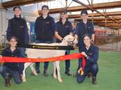 UNITED APPROACH: The Unity College team of Matilda Weckert, Tallan Mullins, Dana Eggers, Alecia Bormann, Bryce Woidt and Ellie Meyer picked up fleece ribbons.