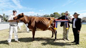 Senior champion Illawarra female Codas Maxima Sarah with owner Charles Lucas, steward Alastair Rayner and judge Jenny Grey.