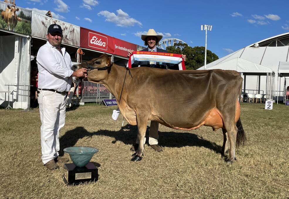 Sydney Royal supreme champion dairy female Bushlea Irwins Jenny with exhibitor Rocky Allen, Cobargo, and Michael MacCue, RAS dairy committee. Sydney Royal supreme champion dairy female Bushlea Irwins Jenny with exhibitor Rocky Allen, Cobargo, and Michael MacCue, RAS dairy committee.