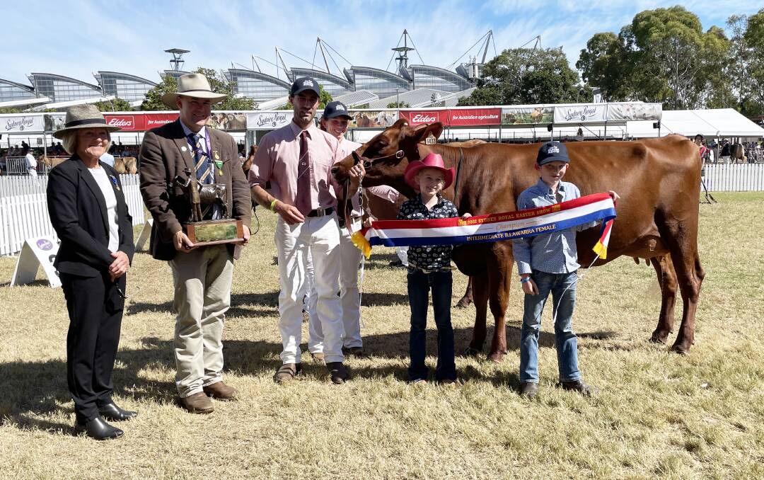 Champion intermediate female of the Illawara breed, Kangawarra Lady 6433, with Shoalhaven dairy farmers and breeders Tom, Kyleigh, Hayden and Lucy Cochrane with judge Jenny Grey and steward Alastair Rayner holding the Alex MacLean memorial perpetual trophy. Champion intermediate female of the Illawara breed, Kangawarra Lady 6433, with Shoalhaven dairy farmers and breeders Tom, Kyleigh, Hayden and Lucy Cochrane with judge Jenny Grey and steward Alastair Rayner holding the Alex MacLean memorial perpetual trophy.