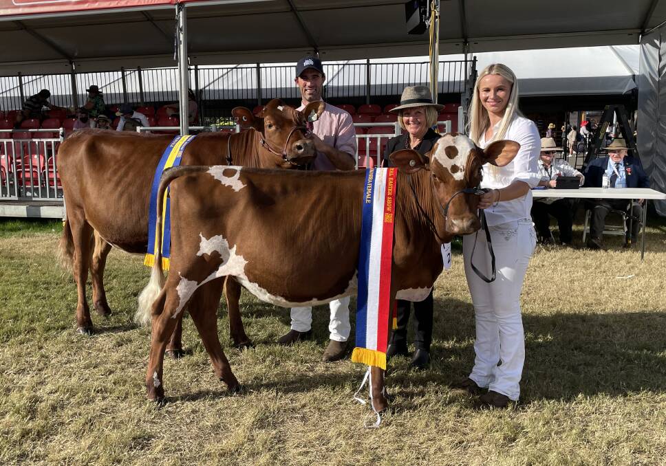 Champion junior Illawarra female Myrtleholme Josh led by Zoe Hayes with reserve junior Kangawarra Malda 6678 with Tom Cochrane and judge Jenny Grey. Champion junior Illawarra female Myrtleholme Josh led by Zoe Hayes with reserve junior Kangawarra Malda 6678 with Tom Cochrane and judge Jenny Grey.