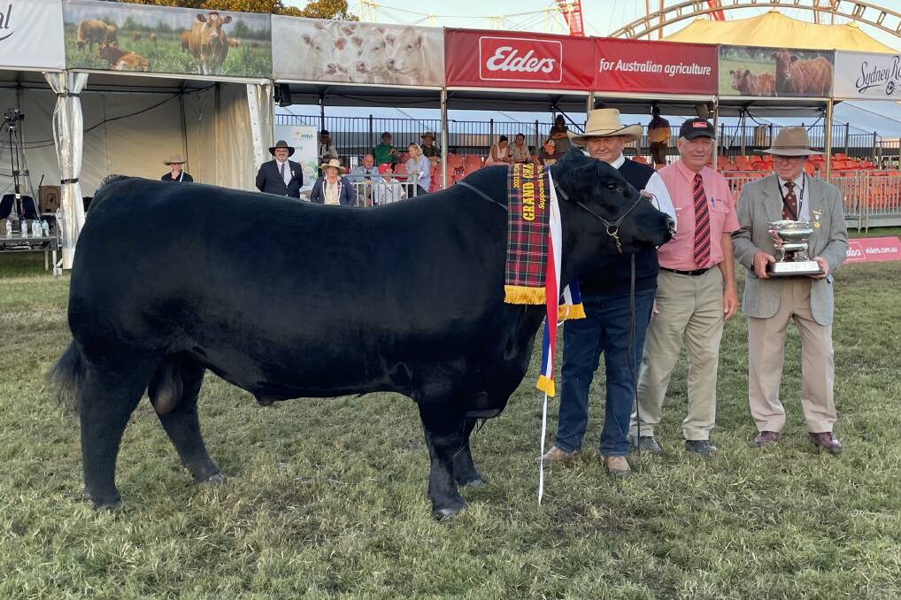 Grand Champion Angus bull Pine Creek Royal Roll R017 with stud principal Greg Fuller, Steve Ridley from Elders and Angus NSW chairman Peter Grieve. Grand Champion Angus bull Pine Creek Royal Roll R017 with stud principal Greg Fuller, Steve Ridley from Elders and Angus NSW chairman Peter Grieve.