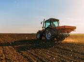 The market for alternative fertiliser with a biological impact is gaining ground and The Punter has applied to become part of a growing demand.