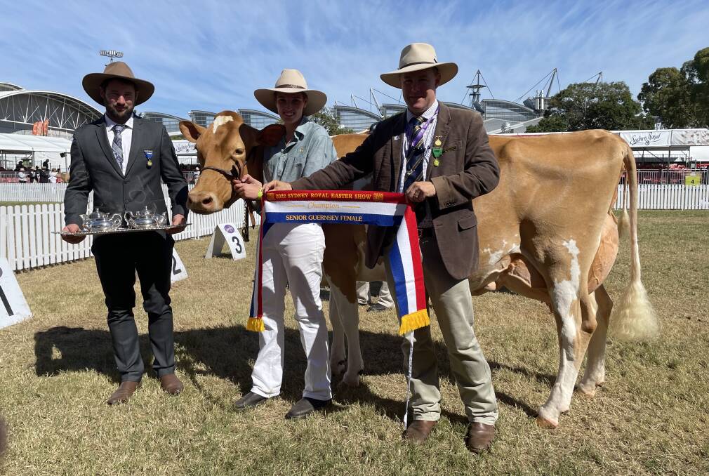 Senior champion Guernsey Brookleigh Jocelyn with judge Josh Smith, handler Tamika Medhurst and steward Alastair Rayner.
Senior champion Guernsey Brookleigh Jocelyn with judge Josh Smith, handler Tamika Medhurst and steward Alastair Rayner.