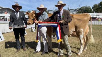 
Senior champion Guernsey Brookleigh Jocelyn with judge Josh Smith, handler Tamika Medhurst and steward Alastair Rayner.
