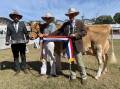 
Senior champion Guernsey Brookleigh Jocelyn with judge Josh Smith, handler Tamika Medhurst and steward Alastair Rayner.