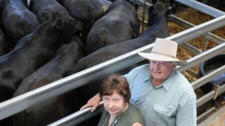 January 3 Wodonga weaner sale highlights | Photos, Video January 3 Wodonga weaner sale highlights | Photos, Video