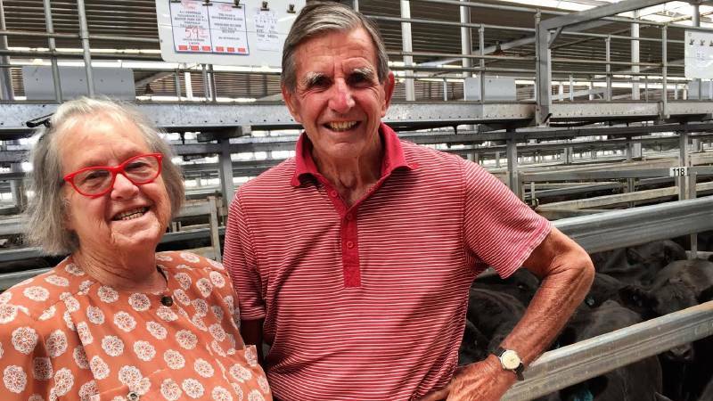 Weaner sales kick off: Day one highlights | Photos, Video Weaner sales kick off: Day one highlights | Photos, Video