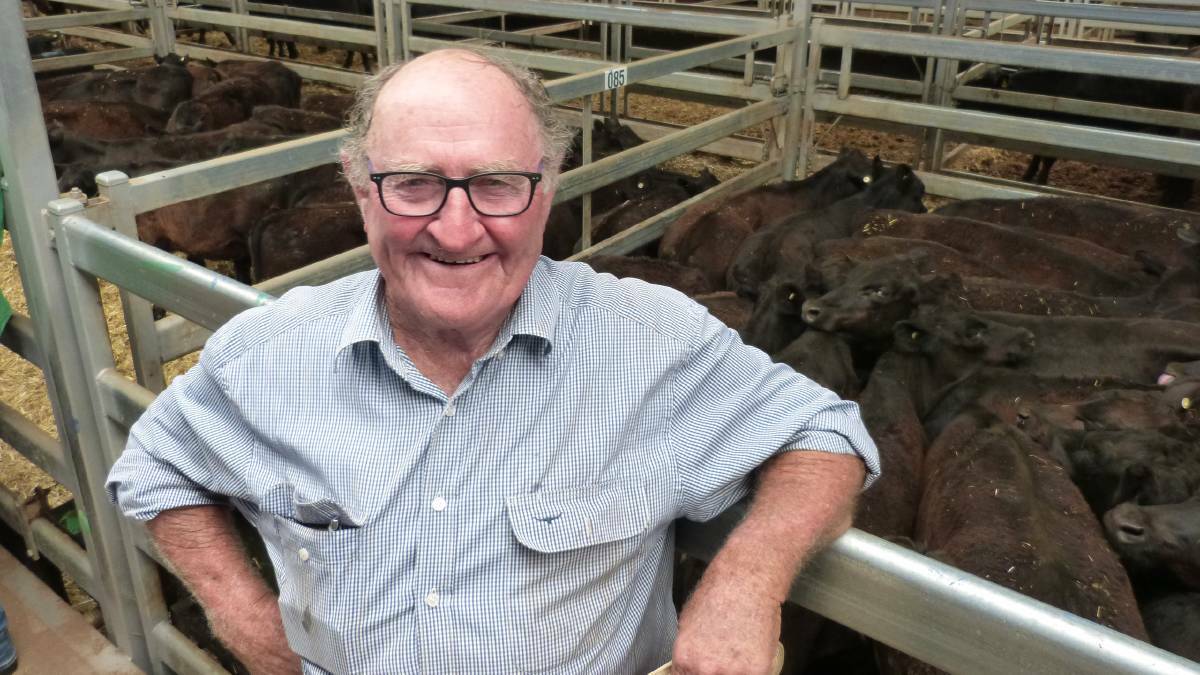 Michael O'Brien, Brigalows Past Co, Carinda, proclaimed he got out of jail, selling his very light steers at Barnawartha from $705-$950. Michael O'Brien, Brigalows Past Co, Carinda, proclaimed he got out of jail, selling his very light steers at Barnawartha from $705-$950.