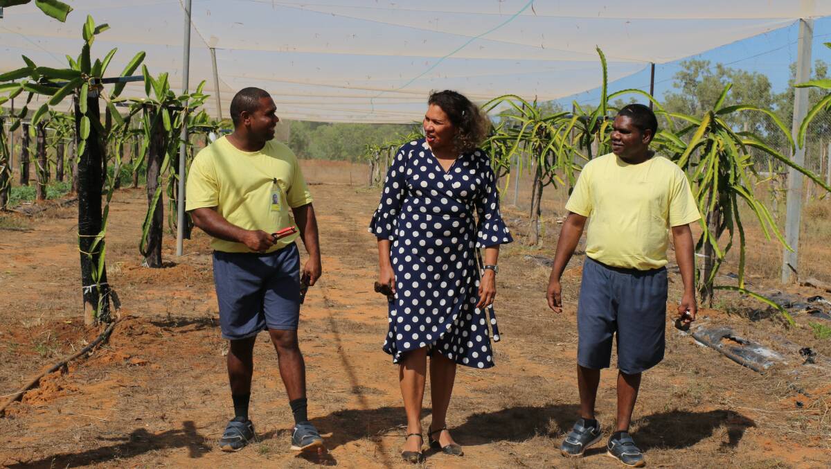 Director of the Northern Territory Aboriginal Justice Unit Leanne Liddle is the NT's 2022 Australian of the Year. Picture supplied by australianoftheyear.org.au
