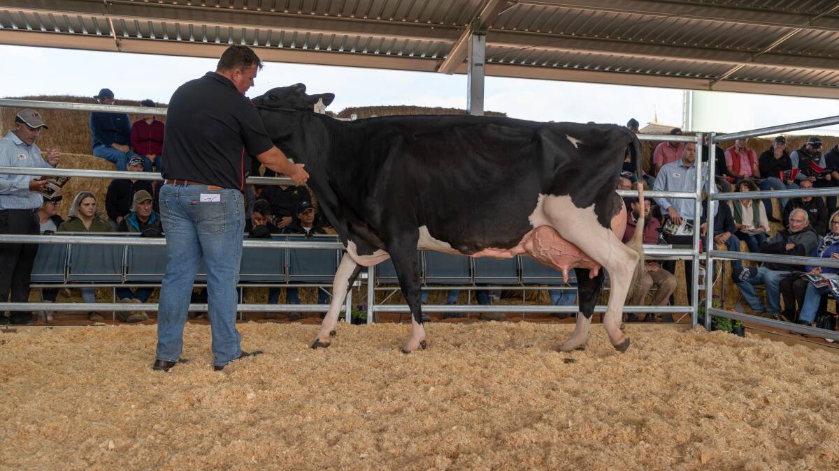 Holstein sale etched in record books