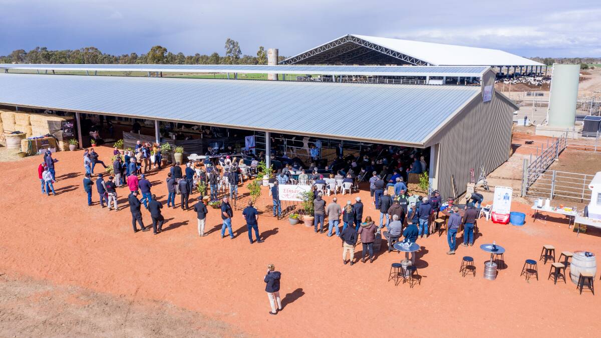 Holstein sale etched in record books