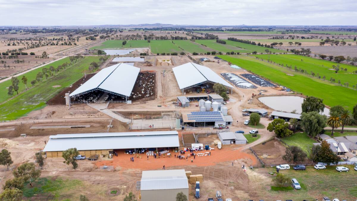 Holstein sale etched in record books
