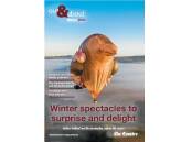 Out & About cover image: Patricia Piccinini, Skywhalepapa, 2020, National Gallery of Australia, Kamberri/Canberra,commissioned with the assistance of The Balnaves Foundation 2019, purchased 2020, Patricia Piccinini. 
