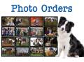 Stock Journal - Photo Sales