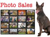 Farm Weekly - Photo Sales