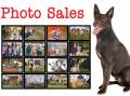 Farm Weekly - Photo Sales
