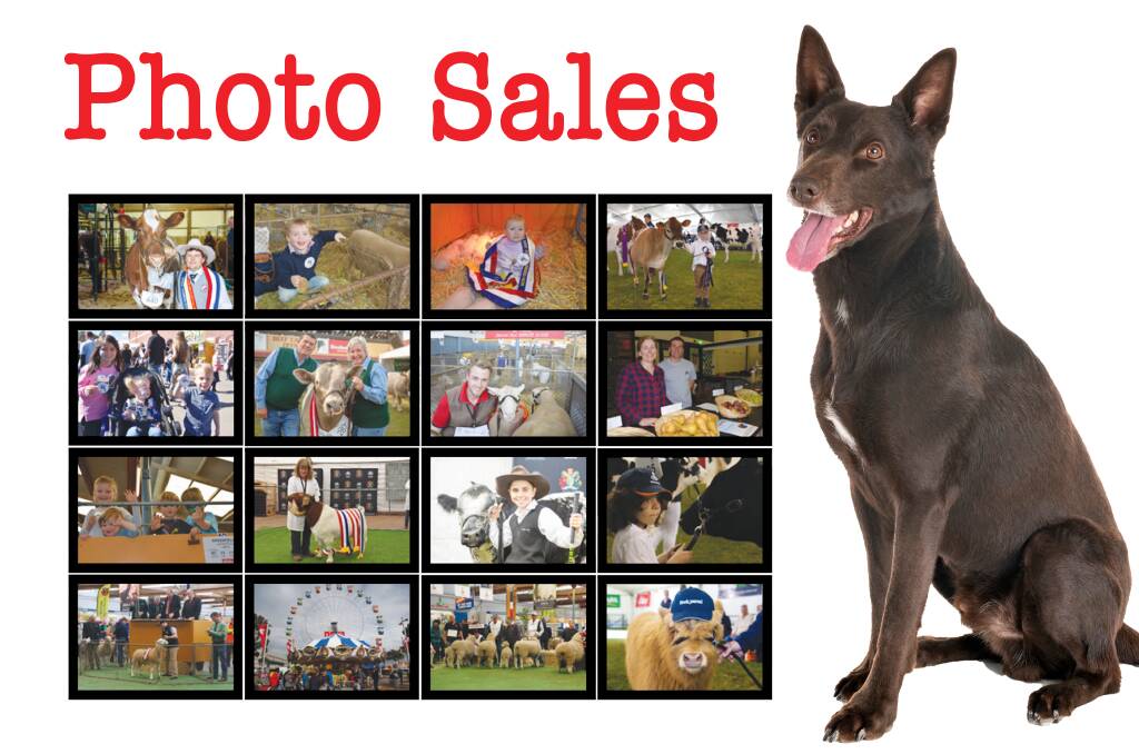 The Land - Photo Sales The Land - Photo Sales