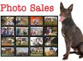 The Land - Photo Sales