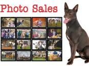 The Land - Photo Sales