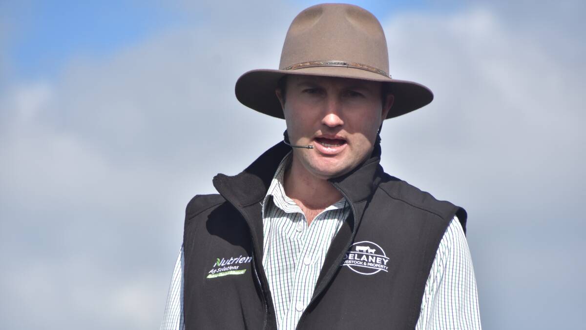 SALE-O: Delaney Livestock & Property director Anthony Delaney said 3000 weaner and grown cattle would be sold at the January 13 sale. SALE-O: Delaney Livestock & Property director Anthony Delaney said 3000 weaner and grown cattle would be sold at the January 13 sale.
